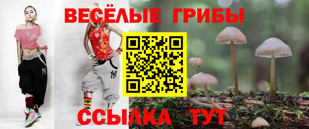 Новочеркасск  Галлюциногенные грибы мухоморы  наркотики  Вход с VPN 